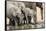 Namibia, Etosha National Park. Elephants Drinking at Waterhole-Wendy Kaveney-Framed Stretched Canvas