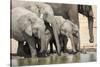 Namibia, Etosha National Park. Elephants Drinking at Waterhole-Wendy Kaveney-Stretched Canvas