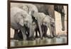 Namibia, Etosha National Park. Elephants Drinking at Waterhole-Wendy Kaveney-Framed Photographic Print