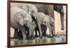 Namibia, Etosha National Park. Elephants Drinking at Waterhole-Wendy Kaveney-Framed Photographic Print