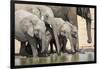 Namibia, Etosha National Park. Elephants Drinking at Waterhole-Wendy Kaveney-Framed Photographic Print