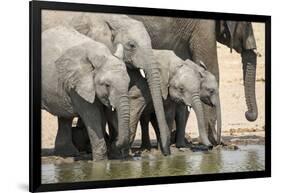 Namibia, Etosha National Park. Elephants Drinking at Waterhole-Wendy Kaveney-Framed Photographic Print