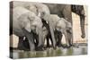 Namibia, Etosha National Park. Elephants Drinking at Waterhole-Wendy Kaveney-Stretched Canvas