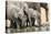 Namibia, Etosha National Park. Elephants Drinking at Waterhole-Wendy Kaveney-Stretched Canvas