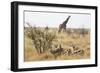 Namibia, Etosha National Park. Giraffe and Springboks-Wendy Kaveney-Framed Photographic Print