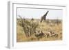 Namibia, Etosha National Park. Giraffe and Springboks-Wendy Kaveney-Framed Photographic Print