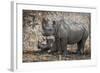 Namibia, Etosha National Park. Mother Rhinoceros and Baby in Shade-Jaynes Gallery-Framed Photographic Print