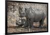 Namibia, Etosha National Park. Mother Rhinoceros and Baby in Shade-Jaynes Gallery-Framed Photographic Print