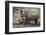 Namibia, Etosha National Park. Mother Rhinoceros and Baby in Shade-Jaynes Gallery-Framed Photographic Print