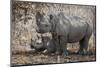 Namibia, Etosha National Park. Mother Rhinoceros and Baby in Shade-Jaynes Gallery-Mounted Photographic Print