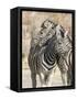 Namibia, Etosha National Park. Necking zebras.-Jaynes Gallery-Framed Stretched Canvas