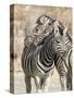 Namibia, Etosha National Park. Necking zebras.-Jaynes Gallery-Stretched Canvas