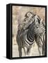 Namibia, Etosha National Park. Necking zebras.-Jaynes Gallery-Framed Stretched Canvas