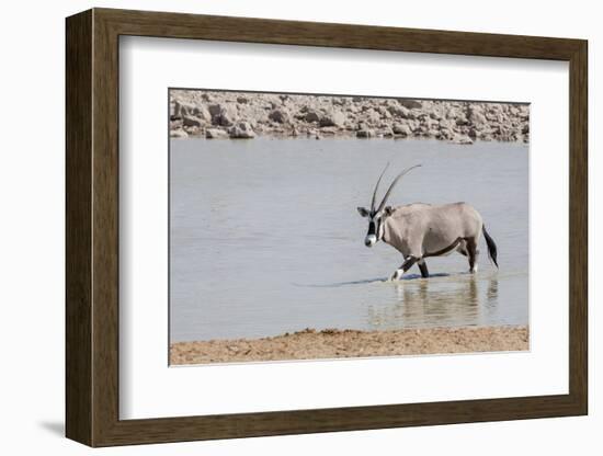 Namibia, Etosha National Park. Oryx Wading in Waterhole-Wendy Kaveney-Framed Photographic Print