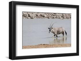Namibia, Etosha National Park. Oryx Wading in Waterhole-Wendy Kaveney-Framed Photographic Print
