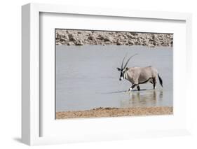 Namibia, Etosha National Park. Oryx Wading in Waterhole-Wendy Kaveney-Framed Photographic Print