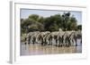 Namibia, Etosha National Park, Plain Zebra, Equus Burchellii, at Water Hole-Paul Souders-Framed Photographic Print