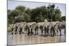 Namibia, Etosha National Park, Plain Zebra, Equus Burchellii, at Water Hole-Paul Souders-Mounted Photographic Print