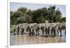 Namibia, Etosha National Park, Plain Zebra, Equus Burchellii, at Water Hole-Paul Souders-Framed Photographic Print