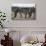 Namibia, Etosha National Park, Plain Zebra, Equus Burchellii, Grazing-Paul Souders-Photographic Print displayed on a wall