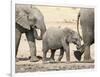 Namibia, Etosha NP. Baby Elephant Walking Between Two Adults-Wendy Kaveney-Framed Photographic Print