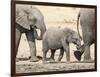 Namibia, Etosha NP. Baby Elephant Walking Between Two Adults-Wendy Kaveney-Framed Photographic Print