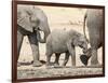 Namibia, Etosha NP. Baby Elephant Walking Between Two Adults-Wendy Kaveney-Framed Photographic Print