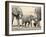 Namibia, Etosha NP. Baby Elephant Walking Between Two Adults-Wendy Kaveney-Framed Photographic Print