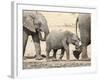 Namibia, Etosha NP. Baby Elephant Walking Between Two Adults-Wendy Kaveney-Framed Photographic Print