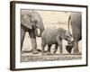 Namibia, Etosha NP. Baby Elephant Walking Between Two Adults-Wendy Kaveney-Framed Photographic Print