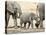 Namibia, Etosha NP. Baby Elephant Walking Between Two Adults-Wendy Kaveney-Stretched Canvas