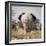 Namibia, Etosha NP, Okerfontein Waterhole. Rear view of elephant.-Wendy Kaveney-Framed Photographic Print