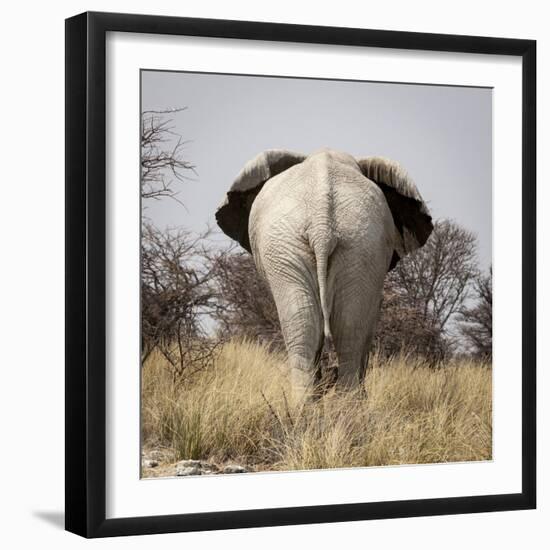 Namibia, Etosha NP, Okerfontein Waterhole. Rear view of elephant.-Wendy Kaveney-Framed Photographic Print