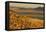 Namibia Evening Landscape with Bushman Grass-null-Framed Stretched Canvas