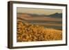 Namibia Evening Landscape with Bushman Grass-null-Framed Photographic Print