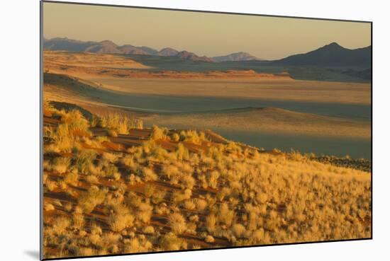 Namibia Evening Landscape with Bushman Grass-null-Mounted Photographic Print