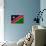 Namibia Flag Design with Wood Patterning - Flags of the World Series-Philippe Hugonnard-Art Print displayed on a wall