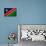 Namibia Flag Design with Wood Patterning - Flags of the World Series-Philippe Hugonnard-Mounted Art Print displayed on a wall
