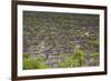 Namibia Forest-mezzotint-Framed Photographic Print