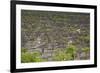 Namibia Forest-mezzotint-Framed Photographic Print