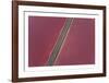 Namibia I-Peter Adams-Framed Collectable Print