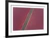 Namibia I-Peter Adams-Framed Collectable Print