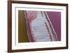 Namibia IV-Peter Adams-Framed Collectable Print