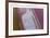 Namibia IV-Peter Adams-Framed Collectable Print