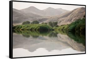 Namibia, Kaokoveld Conservation Area, Kunene River. Greenery along the banks of the Kunene River.-Ellen Goff-Framed Stretched Canvas