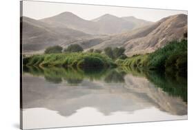 Namibia, Kaokoveld Conservation Area, Kunene River. Greenery along the banks of the Kunene River.-Ellen Goff-Stretched Canvas