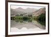 Namibia, Kaokoveld Conservation Area, Kunene River. Greenery along the banks of the Kunene River.-Ellen Goff-Framed Premium Photographic Print