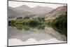 Namibia, Kaokoveld Conservation Area, Kunene River. Greenery along the banks of the Kunene River.-Ellen Goff-Mounted Photographic Print