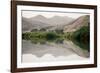 Namibia, Kaokoveld Conservation Area, Kunene River. Greenery along the banks of the Kunene River.-Ellen Goff-Framed Photographic Print