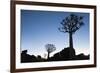 Namibia, Keetmanshoop, Quiver Tree Forest, Kokerboom. at sunset.-Ellen Goff-Framed Photographic Print